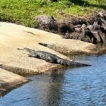 Kissimmee: Self-Guided Lakefront Tour on All Electric Bike - Final Thoughts