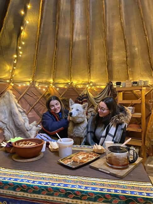Kittilä / Levi: Husky Farm Guided Tour - Why This Tour Offers Great Value
