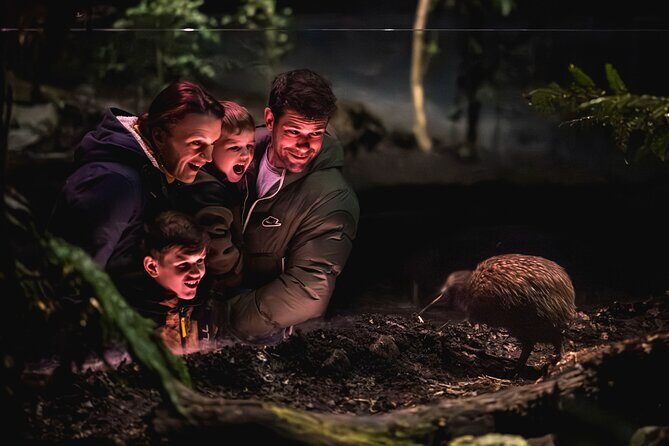 Kiwi Park Queenstown Admission - Who Should Visit Kiwi Park Queenstown?