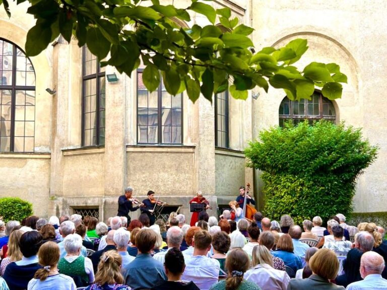 Klassik im Museum - A Closer Look at the Experience