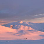 Klimpfjäll: Southern Lapland Snowmobile Tour with Fika - The Sum Up: Who Is This Tour Best For?