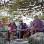Knossos Palace & Heraklion Archaeology Museum | Private Tour - A Deep Dive into the Experience
