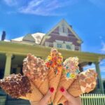 Knoxville: Hidden Gems Walking Tour with Ice Cream & Coffee - A Detailed Look at What to Expect on the Tour
