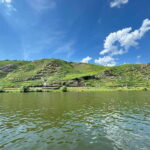 Koblenz: Private boat tour on the Moselle + wine experience - The Practicalities: What You Need to Know