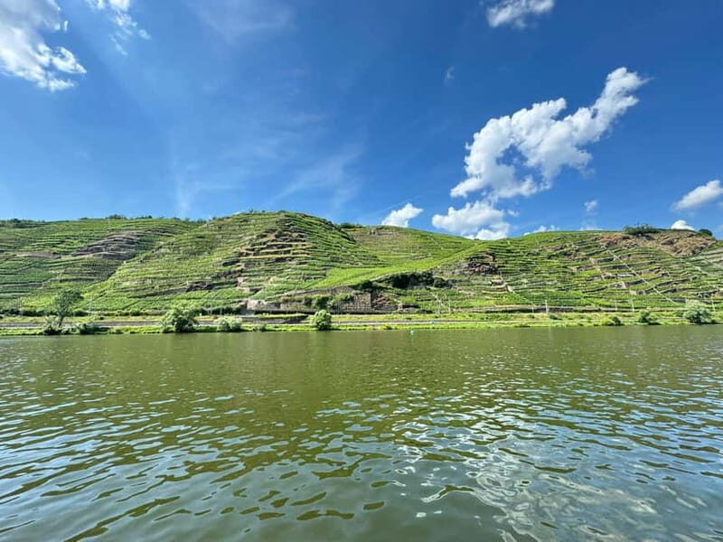 Koblenz: Private boat tour on the Moselle + wine experience