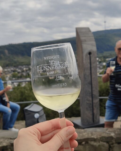 Koblenz: The Living Vineyard, Nature & Wine Enjoyment - The Sum Up: Why Choose This Experience?