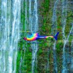 Kohala Coast Volcano Waterfalls-90 Min Heli Tour-Doors Off or On - A Detailed Look at the Helicopter Tour Experience