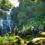 Kohala Waterfalls Small Group Adventure Tour - Exploring the Big Island’s Waterfalls and Scenic Highlights