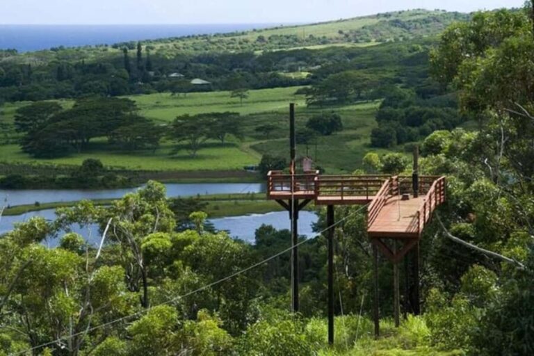 Koloa: Kauais Longest 8-Line Zipline Tour - The Sum Up: Is This Tour for You?