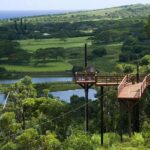 Koloa Zipline in Kauai - Who Will Love This Tour?