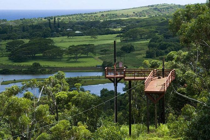 Koloa Zipline in Kauai - Who Will Love This Tour?