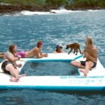 Kona Afternoon Dolphin Watch & Snorkel on the Big Isand - What Could Be Improved?