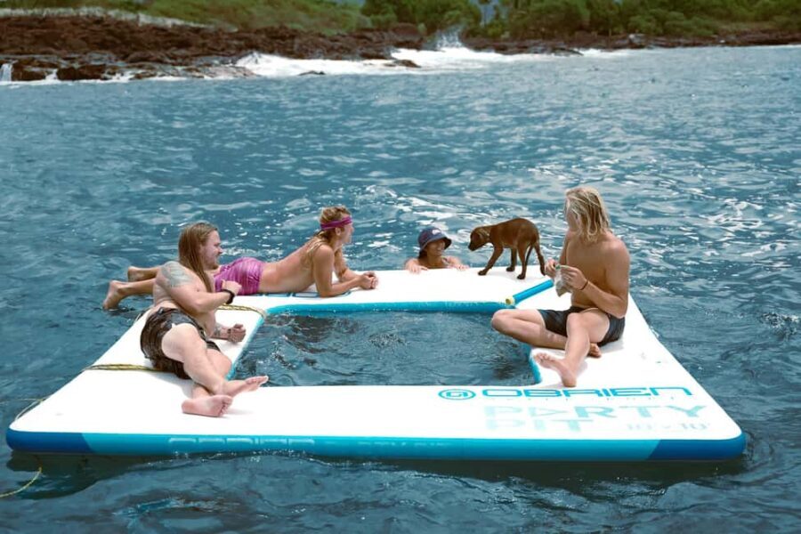 Kona Afternoon Dolphin Watch & Snorkel on the Big Isand - What Could Be Improved?