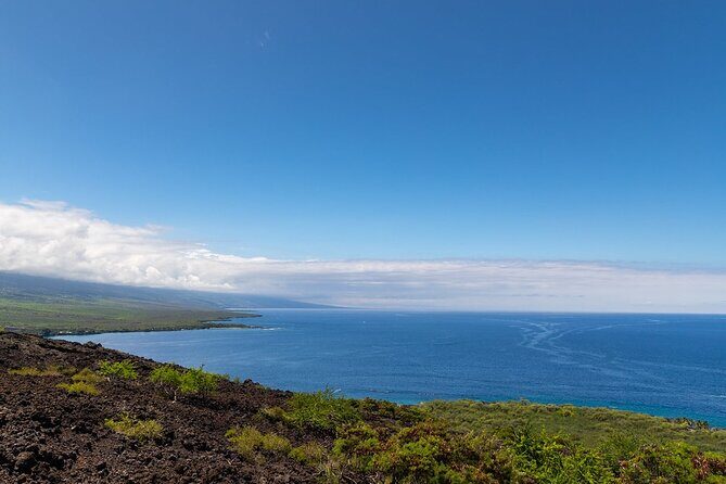Kona Coast Cruise: Snorkel Kealakekua Bay & Dolphin Encounter - Authentic Experiences as Highlighted by Travelers