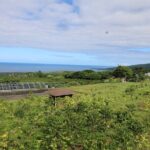 Kona Coffee Farm Tour from Tree to Tasting Room - Final Thoughts