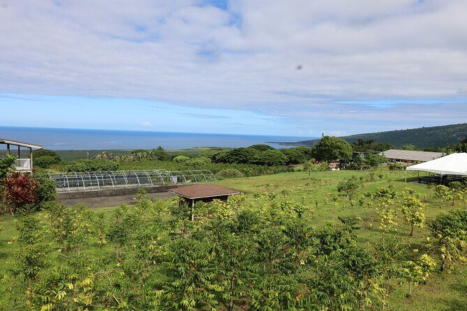 Kona Coffee Farm Tour from Tree to Tasting Room - Final Thoughts