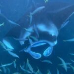 Kona Hi, Sunset Manta Ray Tour 10 passengers maximum - Who Will Love This Tour?