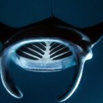 Kona Manta Ray Night Snorkel Adventure! Small Group - FAQ