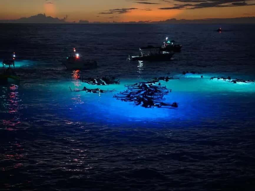 Kona: Manta Ray Night Snorkel Adventure - Equipment & Practical Details