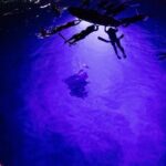 Kona Night Manta Snorkel Tour - The Itinerary in Detail