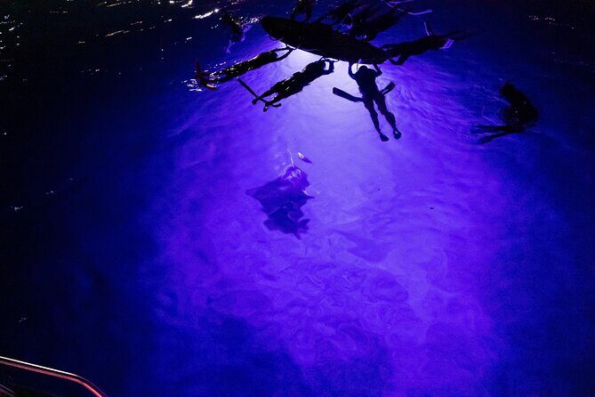 Kona Night Manta Snorkel Tour - The Itinerary in Detail
