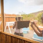 Kona Tour: Bee Farm, Kona Coffee, and National Historical Parks - A Close Look at the Itinerary