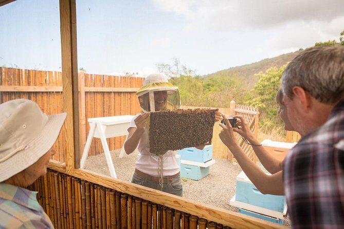 Kona Tour: Bee Farm, Kona Coffee, and National Historical Parks - A Close Look at the Itinerary
