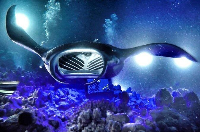 Kona Town Manta Sunset Snorkel - Why This Tour Offers Great Value