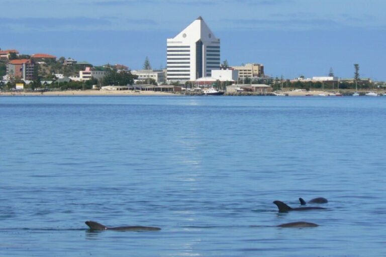 Koombana Bay: Dolphin Eco Cruise - Who Will Love This Experience?