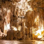 Koper: Postojna Cave and Predjama Castle Tour and Tickets - Practical Details and Tips