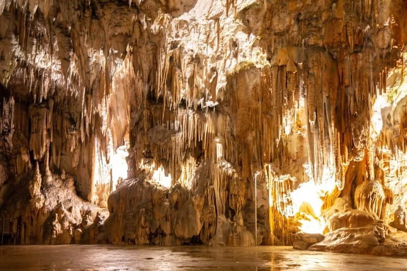 Koper: Postojna Cave and Predjama Castle Tour and Tickets - Practical Details and Tips