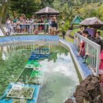 Koror City Tour - Final Thoughts