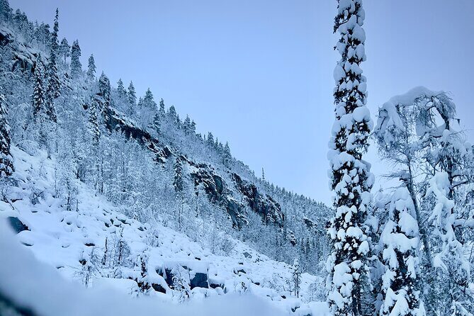 Korouoma Frozen Waterfalls Hiking Tour - Who Will Love This Tour?