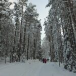 Korouoma national park and frozen waterfalls hiking tour - Who Will Love This Tour?