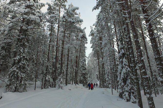 Korouoma national park and frozen waterfalls hiking tour - Who Will Love This Tour?