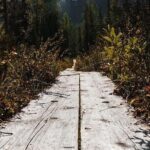 Korouoma National Park & Frozen Waterfalls Adventure - The Sum Up