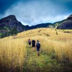 Koroyanitu National Heritage Park Fiji - Hike - Waterfall - A Deep Dive into the Koroyanitu Waterfall Hike