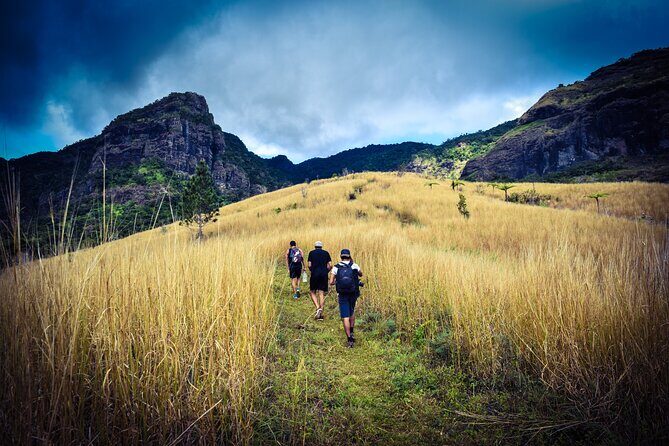 Koroyanitu National Heritage Park Fiji - Hike - Waterfall - A Deep Dive into the Koroyanitu Waterfall Hike