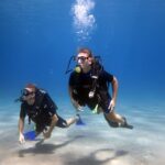 Kos: Beginner Scuba Diving from the Beach with Pickup - The Experience from the Traveler’s Perspective