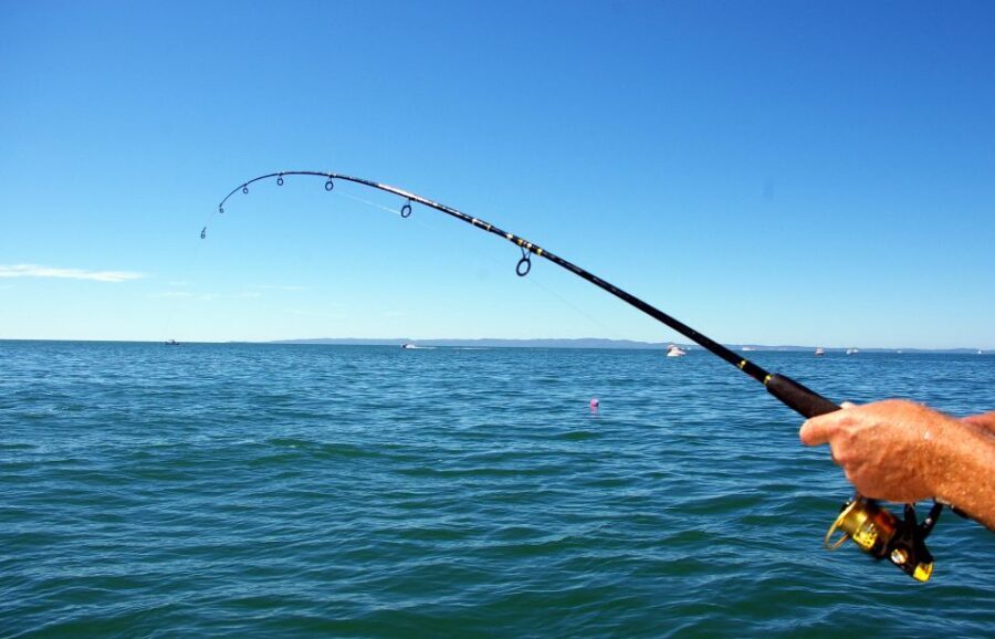 Kos: Fishing Trip Experience with a Greek Fisherman's Family - What’s Included and What to Expect