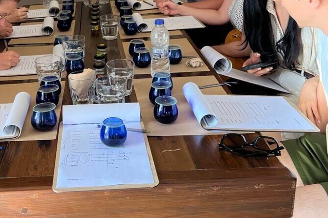 Kos Olive Oil Tasting - Olive Field Tour & Cooking Demostration - Who Should Book This Tour?