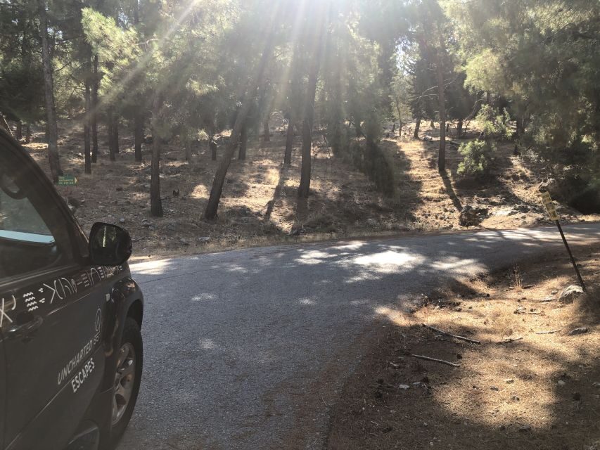 Kos: Sunset Safari Tour with Dinner - The Experience in Context