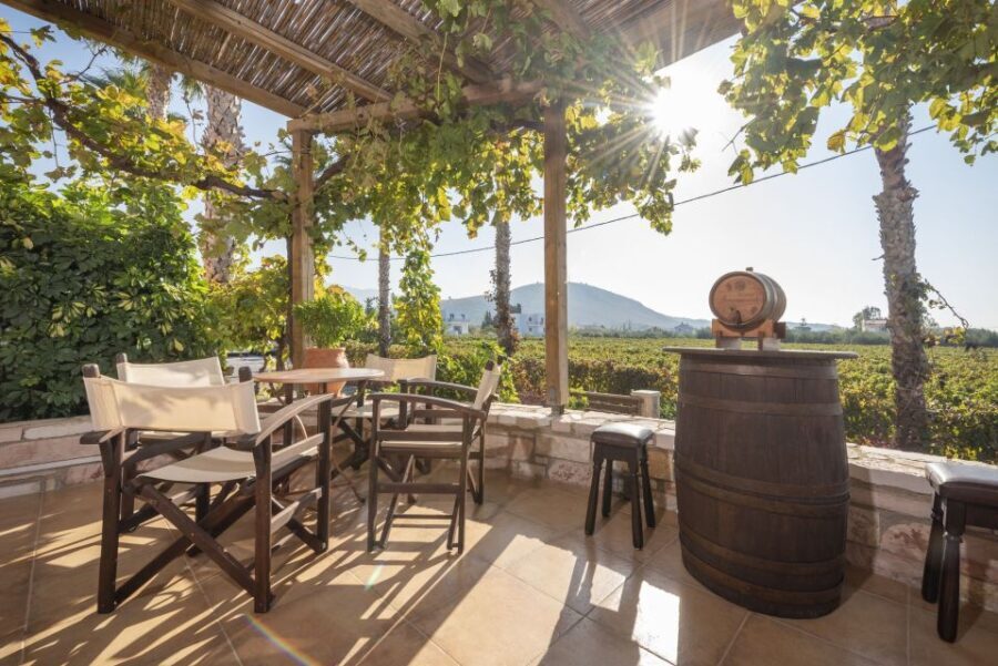 Kos: Wineries Tour w/ Wine Tastings & Transportation - Final Thoughts: Who Is This Tour For?