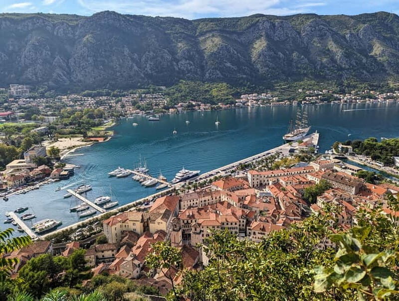 Kotor: Old Town Walking Tour and Cooking Class - Why This Tour Works and Who It Suits