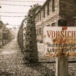 Krakow and Auschwitz Small-Group Tour from Warsaw with Lunch - The Full Breakdown: What to Expect from This Tour