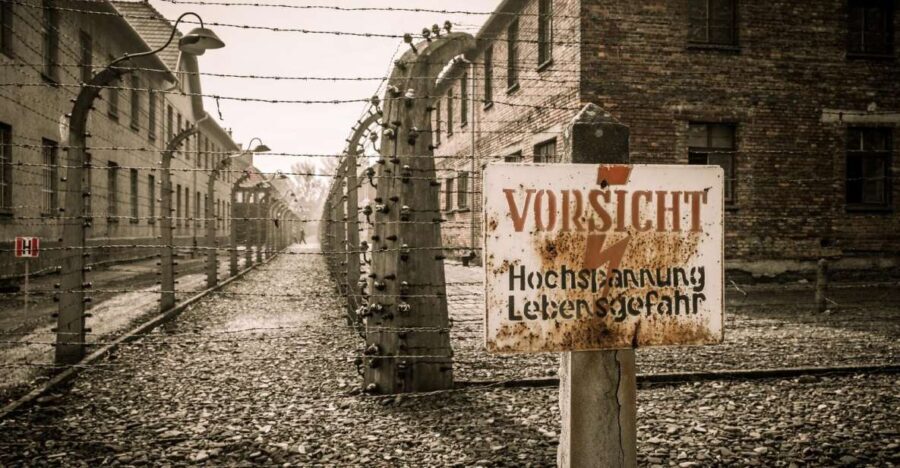 Krakow and Auschwitz Small-Group Tour from Warsaw with Lunch - The Full Breakdown: What to Expect from This Tour