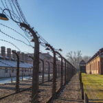 Krakow: Auschwitz-Birkenau Entry Ticket and Transfer - Why This Tour Offers Great Value