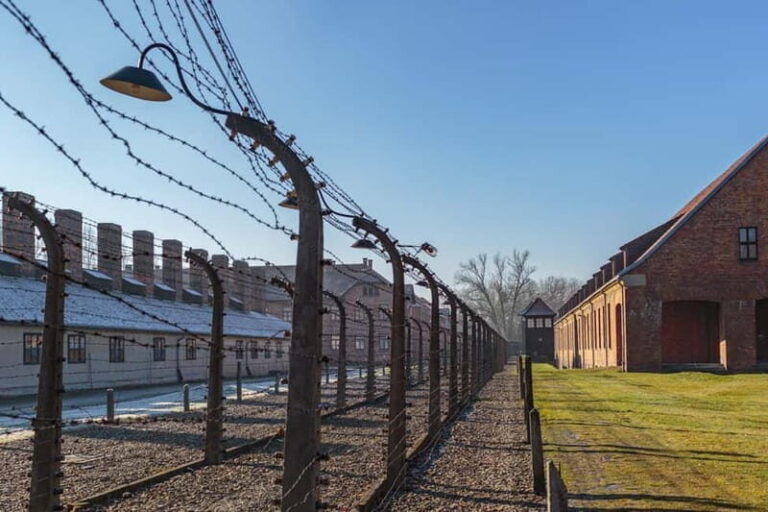 Krakow: Auschwitz-Birkenau Entry Ticket and Transfer - Why This Tour Offers Great Value