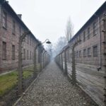 Krakow: Auschwitz-Birkenau Guided Tour or Self-Guided Tour - The Sum Up