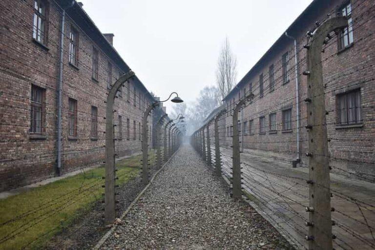 Krakow: Auschwitz-Birkenau Guided Tour or Self-Guided Tour - The Sum Up